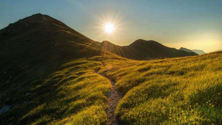 Continuando nuestro viaje juntos | rugido del león