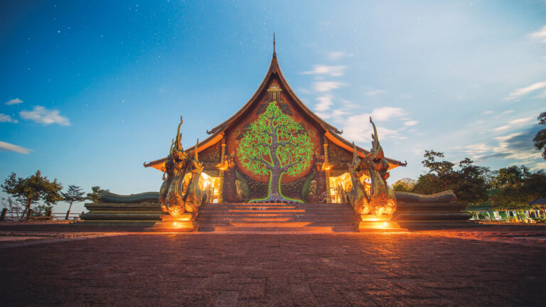 Dharma 101: The Branches of Buddhism