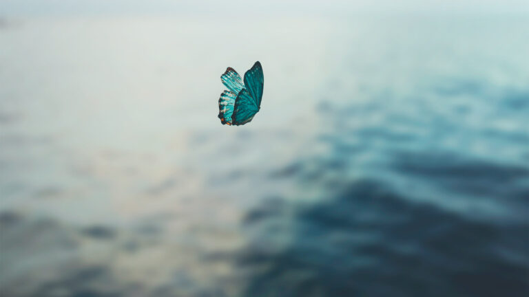 El templo de la meditación curativa