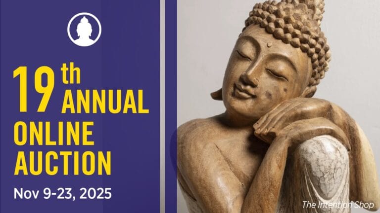 La 19.ª subasta anual en línea de Lion's Roar