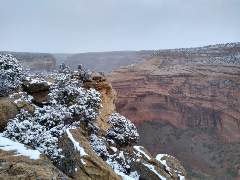 La generosidad de ofrecer el cuerpo