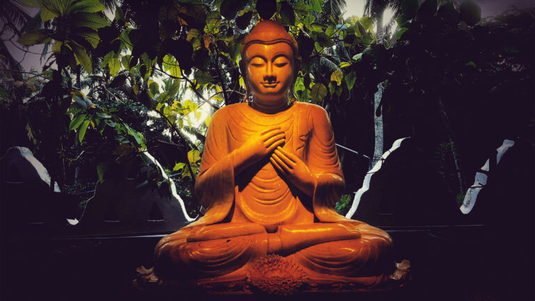 Patience Opens the Heart | Lion’s Roar