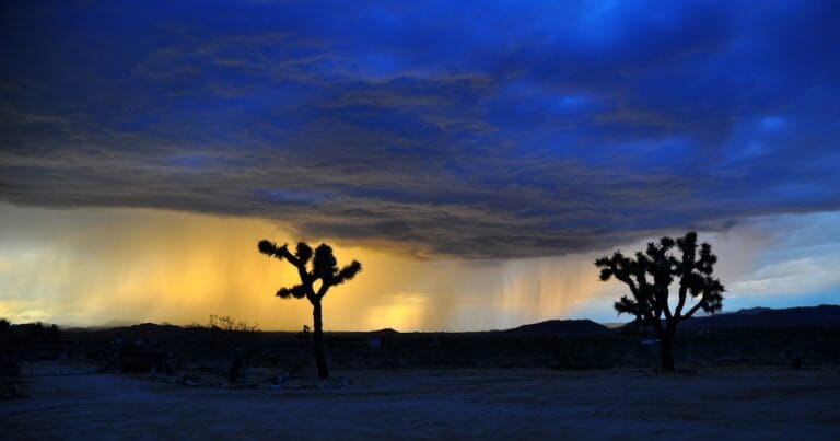 ¿Cuál fue la famosa frase de Rumi?