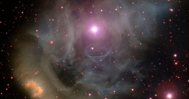 ¿Por qué decimos que el amor lo es todo?