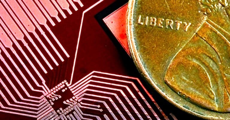 ¿Por qué lo desatáis?