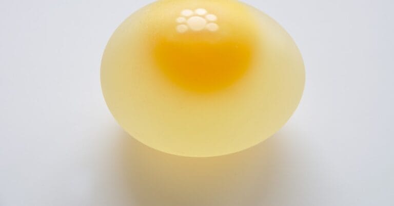 ¿Qué capa de la Tierra representa la yema?