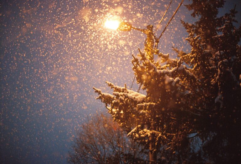 Charlotte Joko Beck: Sólo nieve, justo ahora