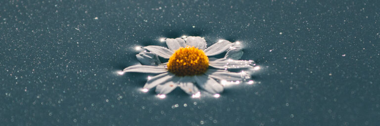 Christ in All Things