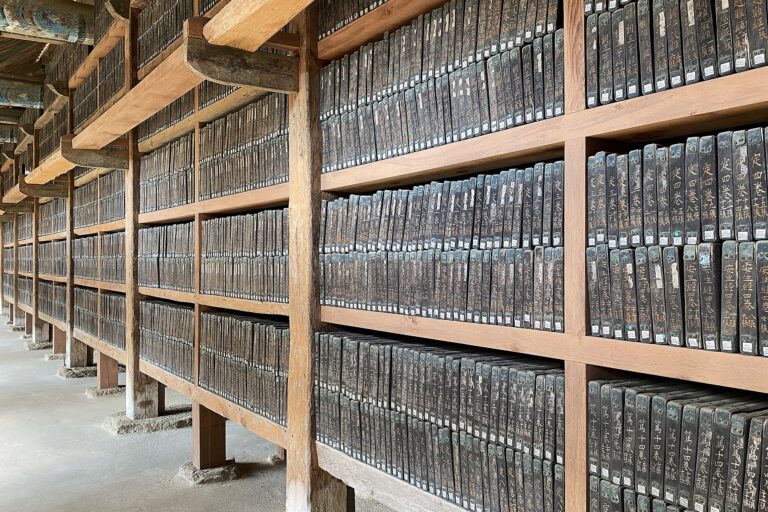 Nuestras recomendaciones académicas para 2025