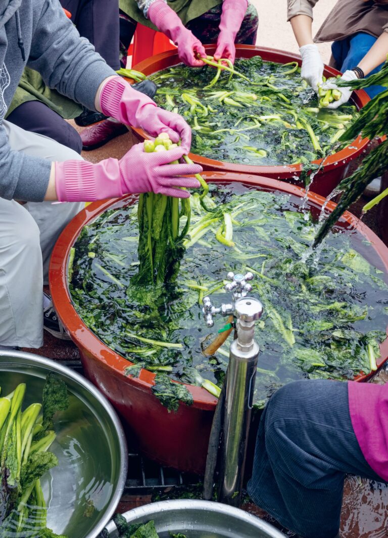 On the Significance of Hands