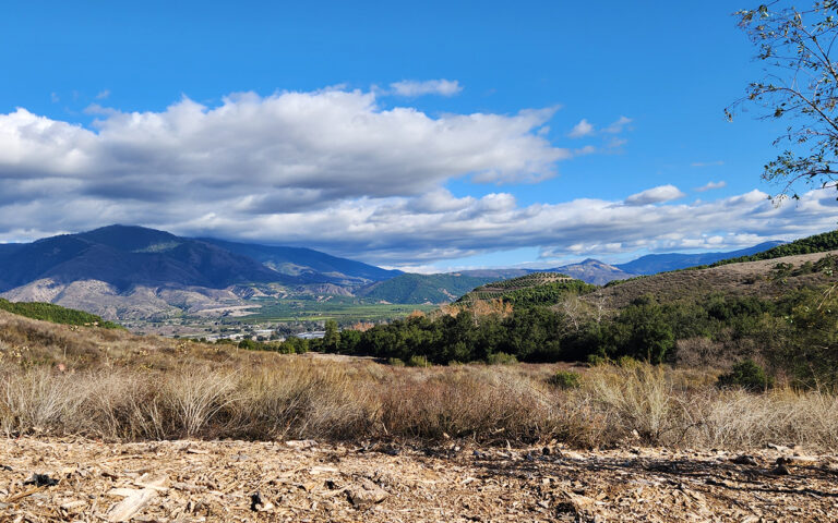 A Heart Bigger Than the World