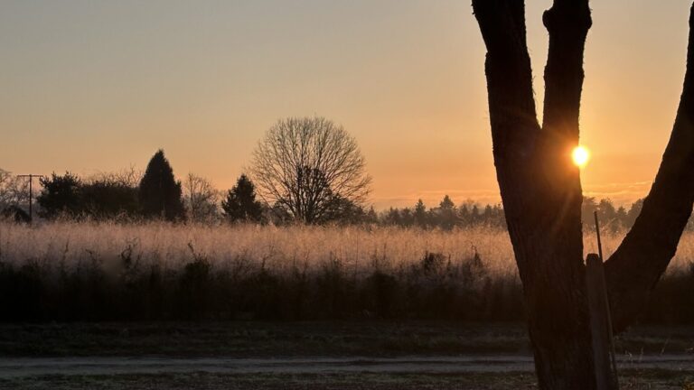 Vida monástica / Correr: otra forma de detenerse