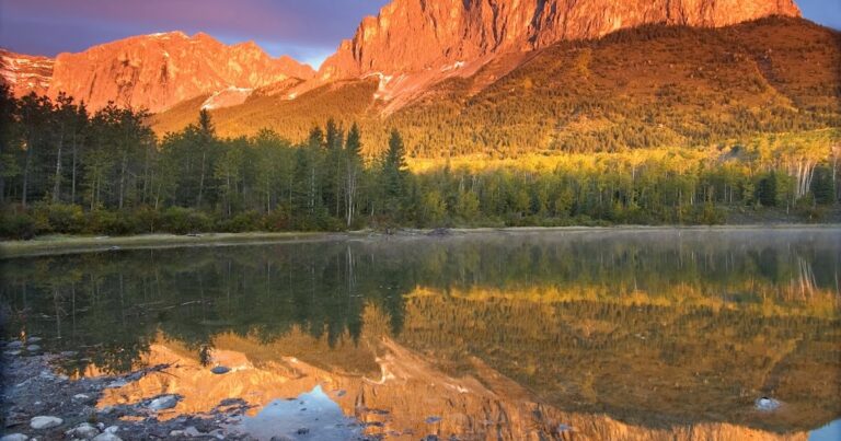 ¿Cómo describe la Biblia la tierra?