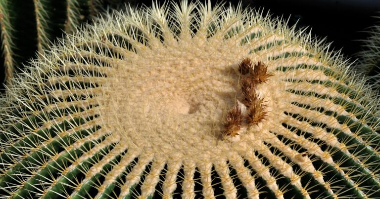 ¿Cómo encuentras tu alma?