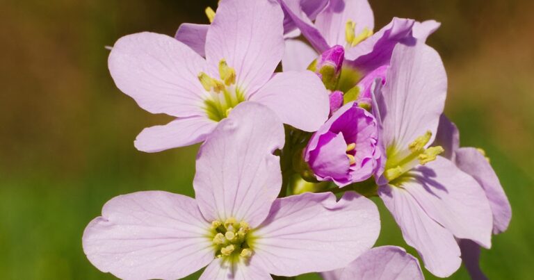 ¿Cómo trabajas tu propia salvación?