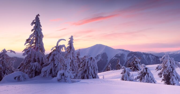 ¿Cuál es el propósito de la vida al regalarlo?