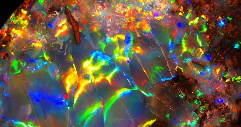 ¿Cuál es la evolución de los hombres?