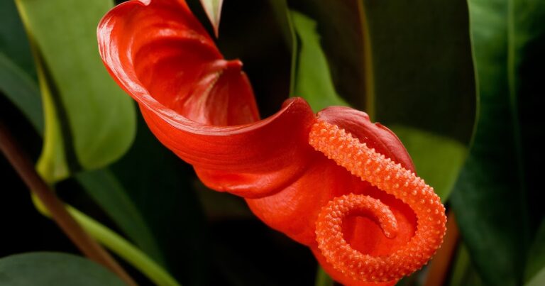 ¿Cuáles son los hechos del ser?