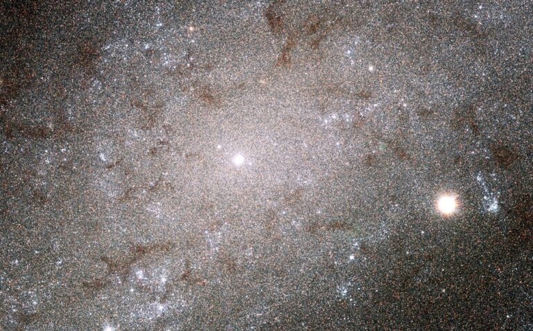 ¿Por qué Dios le pidió a Abraham que contara las estrellas?