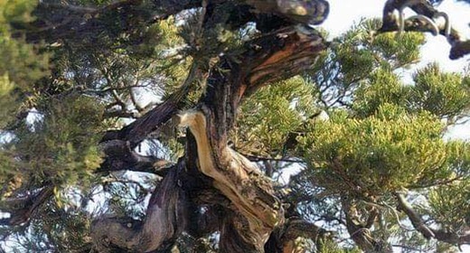 Nuestro Sagrado Planeta Madre Tierra en toda su asombrosa belleza y la cita del día 34 Nuestro Sagrado Planeta Madre Tierra en toda su asombrosa belleza y la cita del día 34