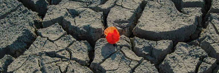 Good News for a Fractured World