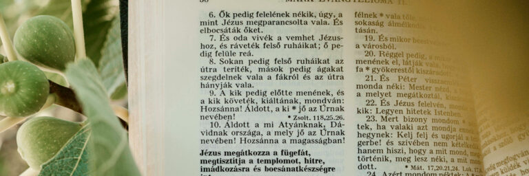 What Do We Do with the Bible?