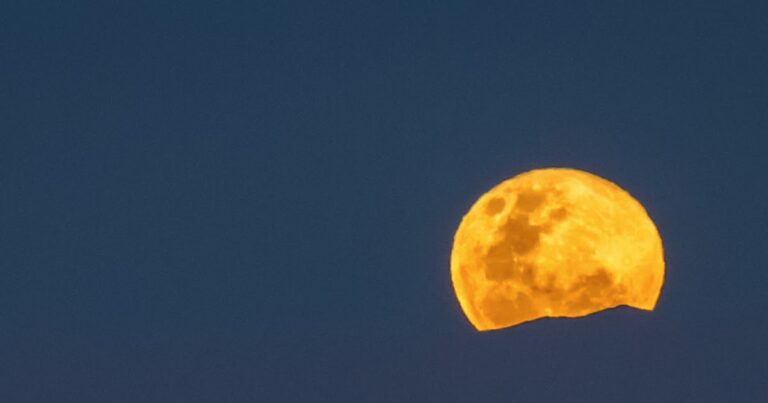 ¿Por qué los humanos tenemos tanta diversidad?