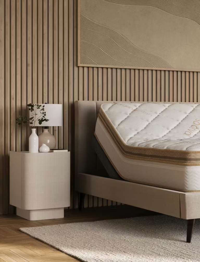 A bedroom with a modern beige bed frame, mattress propped up, nightstand with a lamp and vases, wood panel wall, abstract art, and a textured rug.