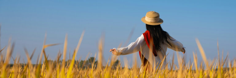 Sabbath and Jubilee Economics