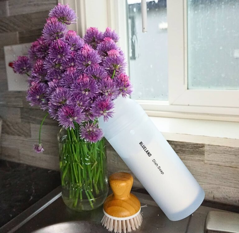 Image by Sustainable Jungle (Blueland) (best non toxic dish soap)