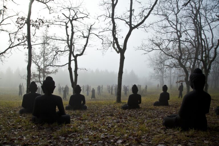 La sabiduría del invierno: detenerse y mirar profundamente