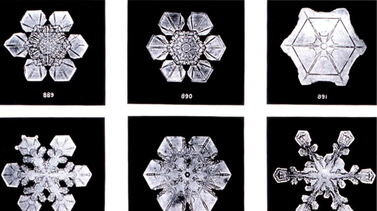 Pasos sencillos y prácticos para sanar tu espíritu ahora: ¿Puede el agua sentir emociones?