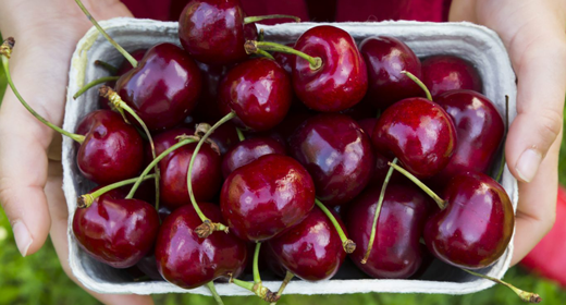 Top Health Benefits of Cherries & How to Enjoy Them – Ocean Robbins Cherries-awaken