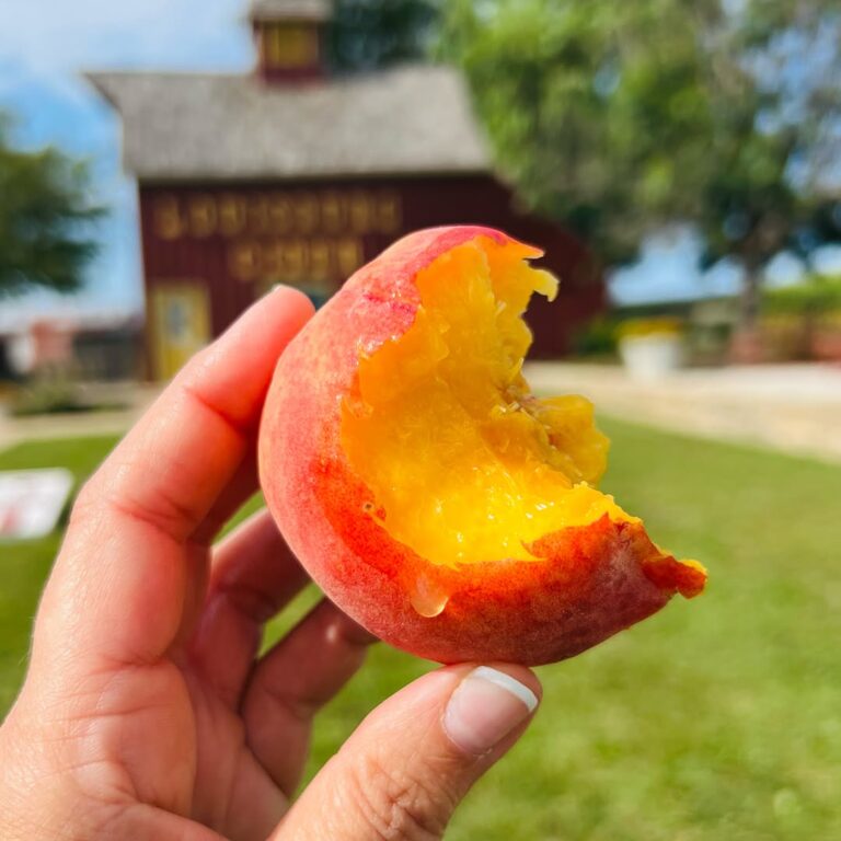 When Longing Becomes the Teacher