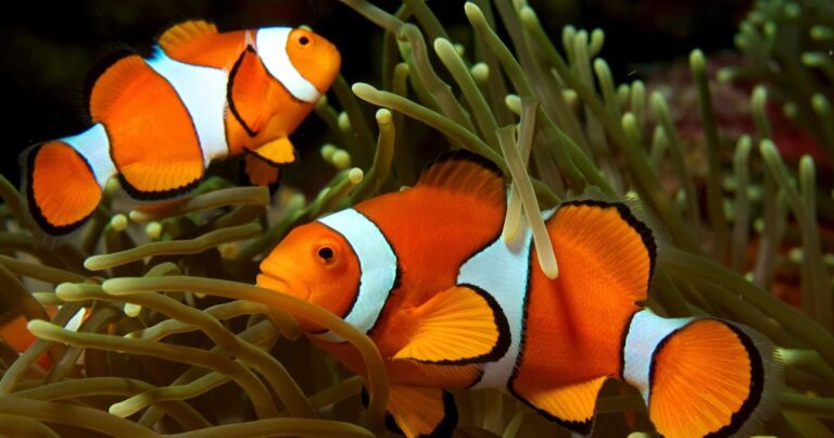 ¿Se te escapa la verdad?