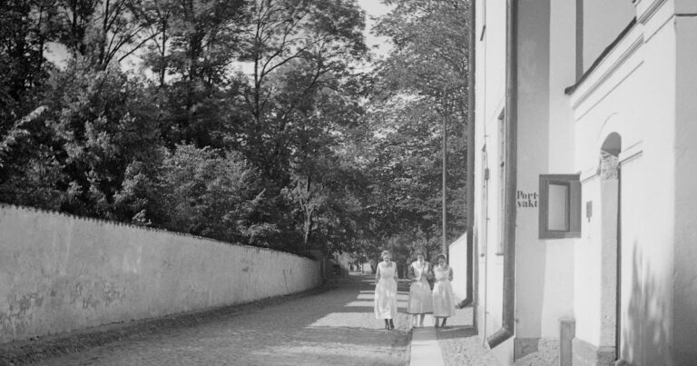 ¿Una actitud positiva afecta al sistema inmunológico?