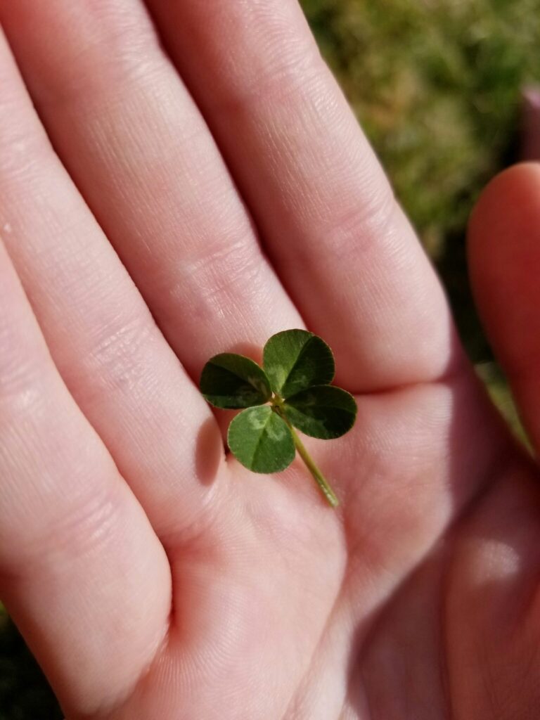 A hand holding a four-leaf clover with a blurred background.