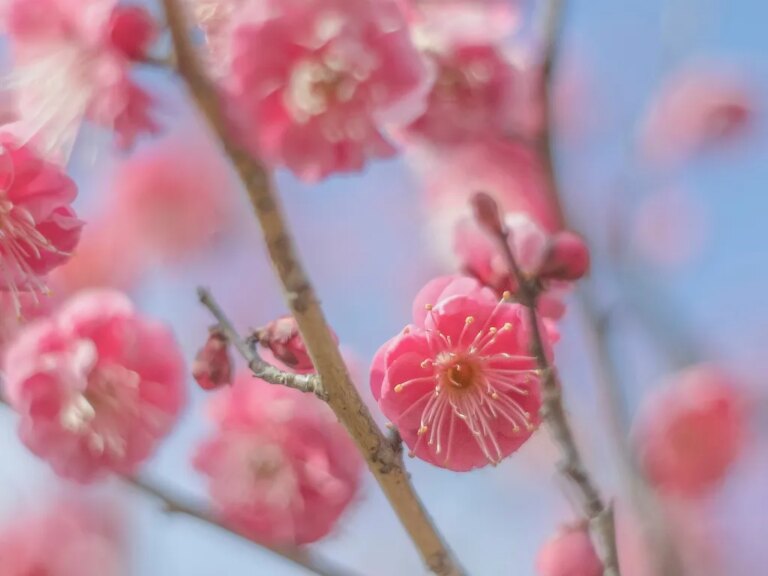 ‘Offering Incense’ and Other Poems