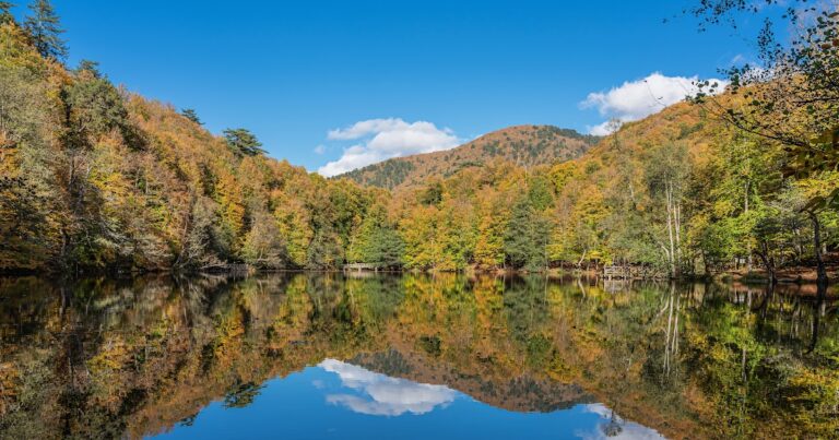 Pasos Sencillos y Prácticos para Sanar Tu Espíritu Ahora: ¿Los demonios de los demás?