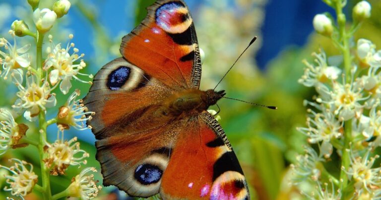 Pasos sencillos y prácticos para sanar tu espíritu ahora: ¿Confías en ti mismo?