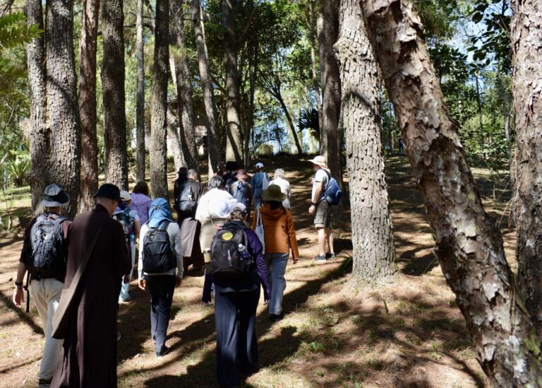 Vida Monástica / “Esta Tierra Amarga… puede que no sea tan amarga después de todo”.