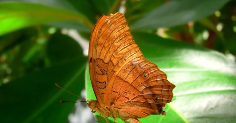 ¿Cuál es la dinámica que puede lograr todas las cosas?