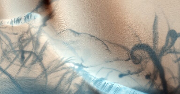 ¿Es el amor el propósito de la vida?