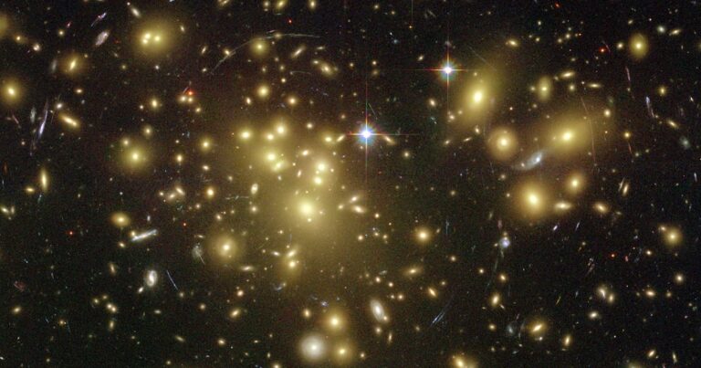 ¿Está toda la creación hecha a imagen de Dios?