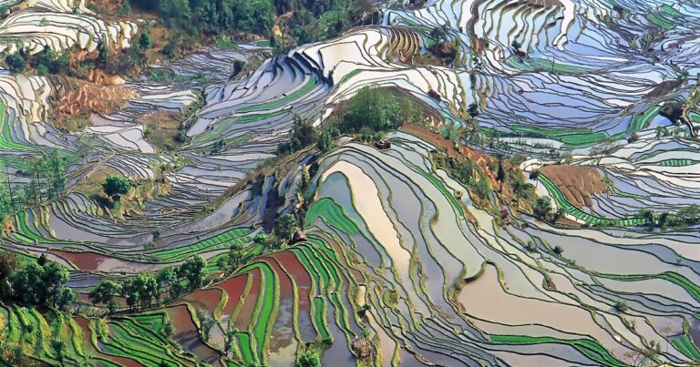 ¿No se está volviendo loco el mundo sin un director?