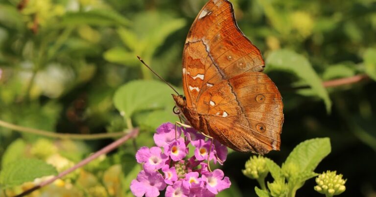 ¿Qué alimenta tus pensamientos y deseos más íntimos?