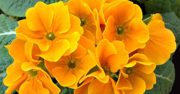 ¿Todo lo que soy YO SOY?