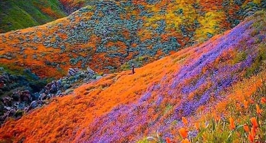 Nuestro Sagrado Planeta Madre Tierra en toda su asombrosa belleza y la cita del día 115 Nuestro Sagrado Planeta Madre Tierra en toda su asombrosa belleza y la cita del día 115
