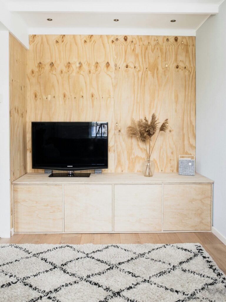 A flat-screen TV on a light wood cabinet with a vase of dried grass and a small book, set against a plywood wall in a modern living room.