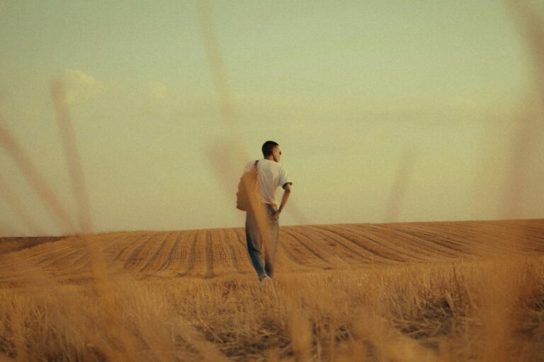 Alérgico al desorden - Los minimalistas